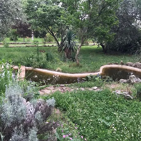 Διαμέρισμα With A Parking Space Sosi, - 16184 Ουμάγκ